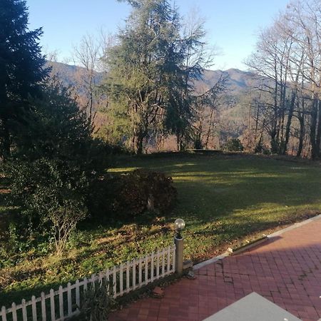 Le Camelie Villa Polverara Buitenkant foto