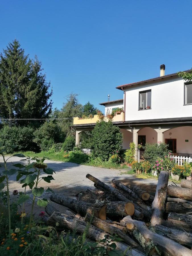 Le Camelie Villa Polverara Buitenkant foto