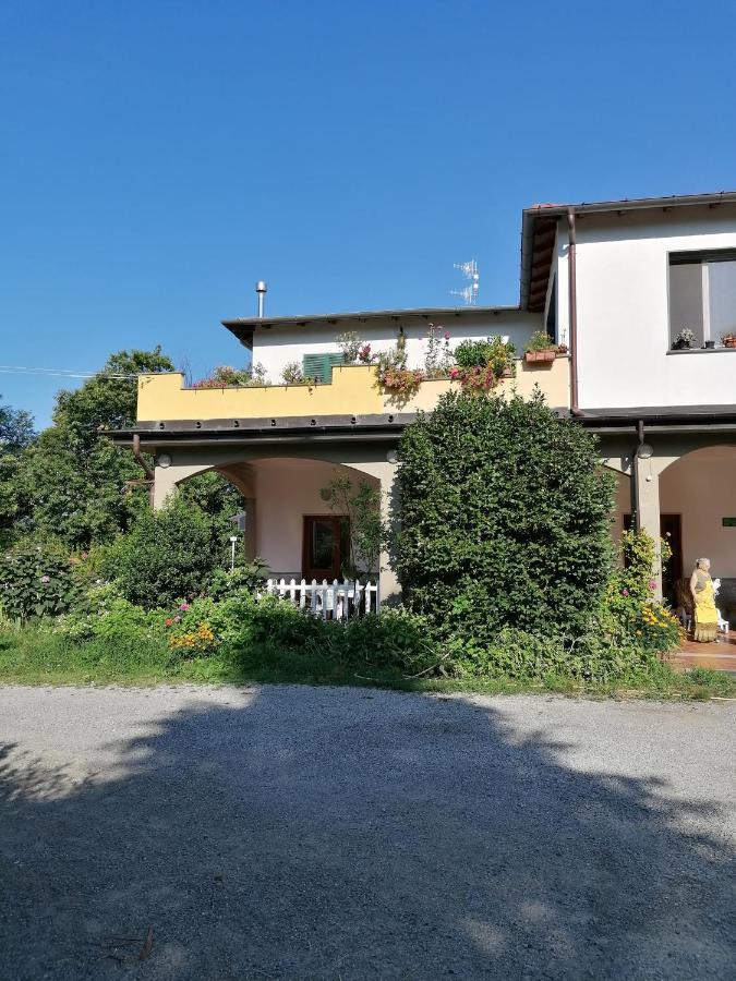 Le Camelie Villa Polverara Buitenkant foto