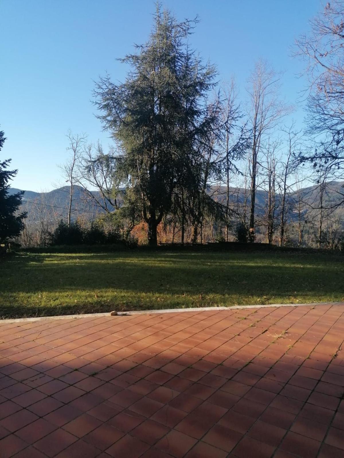 Le Camelie Villa Polverara Buitenkant foto