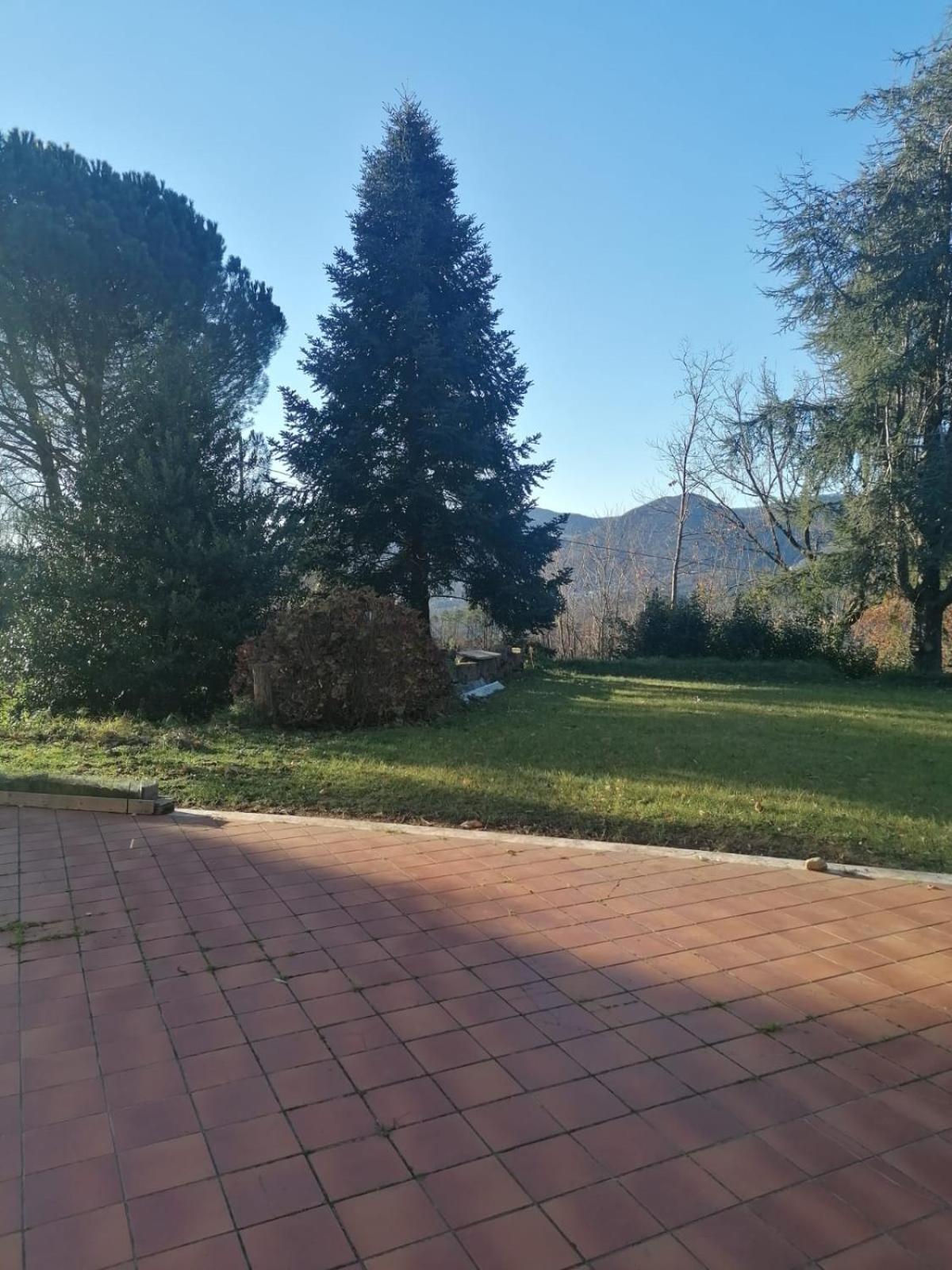 Le Camelie Villa Polverara Buitenkant foto